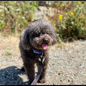 Meet your Posher, Michelle